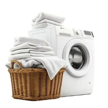 Sophia's Apartment- Mint *