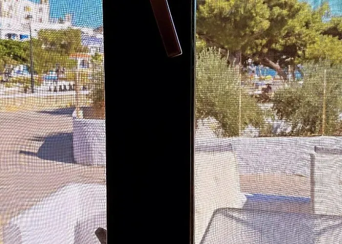 Sophia's Apartment- Mint